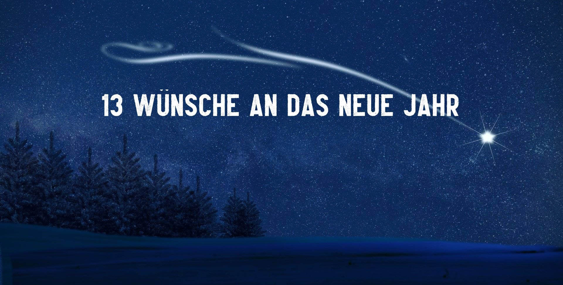 13 Wuensche