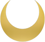 ICON 150 tp