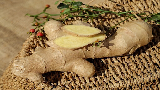 ginger-1738098_Ilo_Pixabay ginger