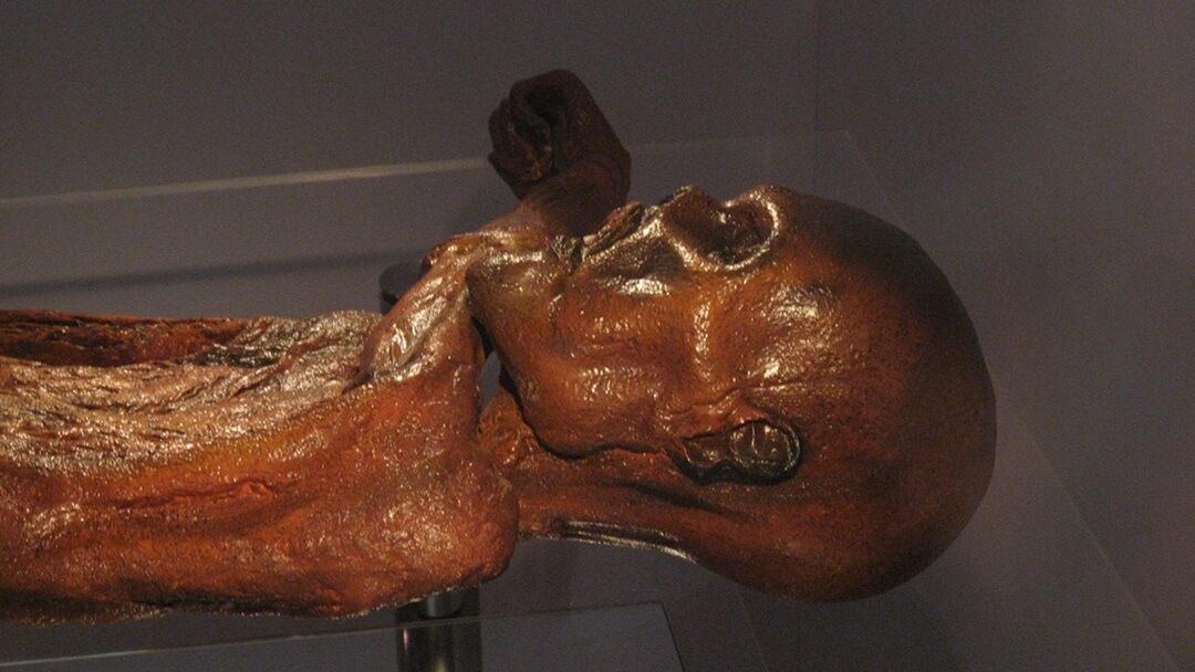 otzi-277986_bastiaan auf Pixabay Mumifizierter Leichnam von Ötzi, dem Mann aus dem Eis, mit lederartiger, ausgetrockneter Haut, ausgestellt in einer Kühlvitrine. Der Körper zeigt deutliche Erhaltungsmerkmale durch natürliche Gletschermumifizierung.