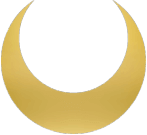 ICON 150 tp